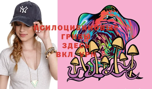 молекула духа Ладушкин