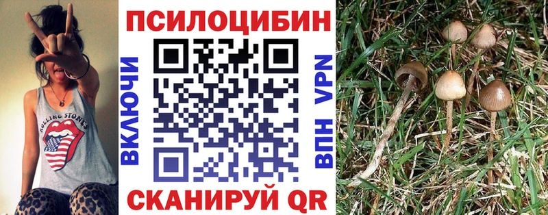 Псилоцибиновые грибы Psilocybine cubensis  Александровское 